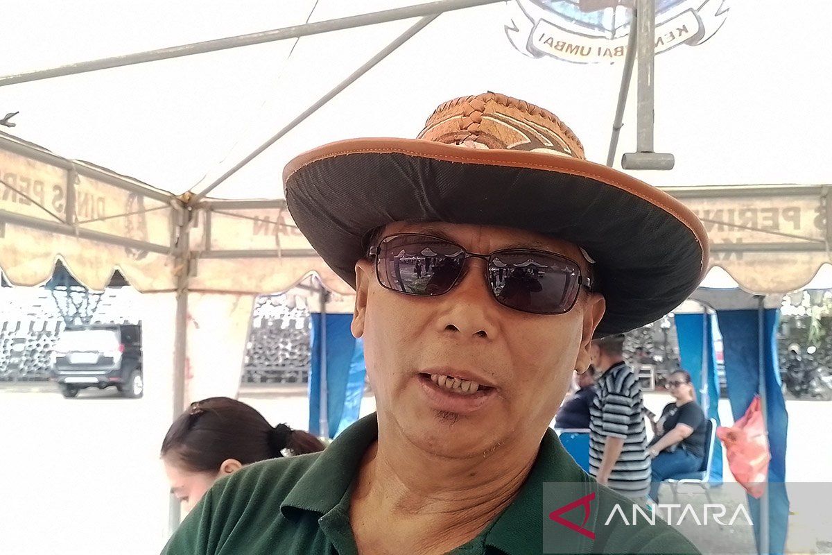 Dinas Tanaman Pangan Jayapura kembangkan padi Inpari IR Nutri Zich