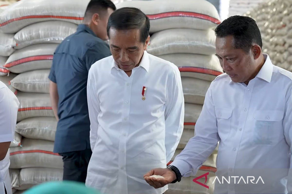 Indonesia jajaki impor beras dari Bangladesh hingga China