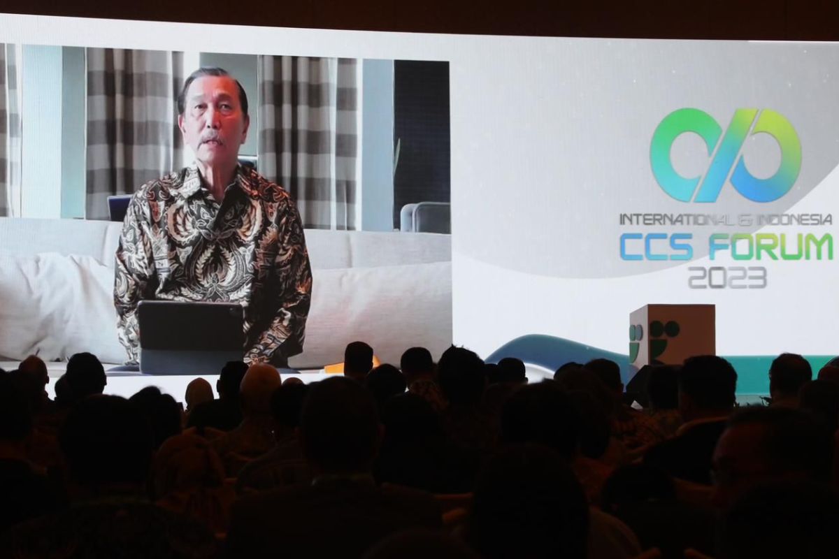 Indonesia ready to invite CCS investment: Minister Pandjaitan