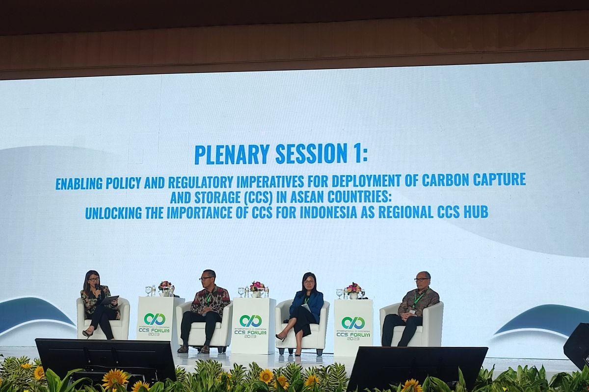Pemerintah siapkan aturan terkait penyimpanan karbon lintas negara