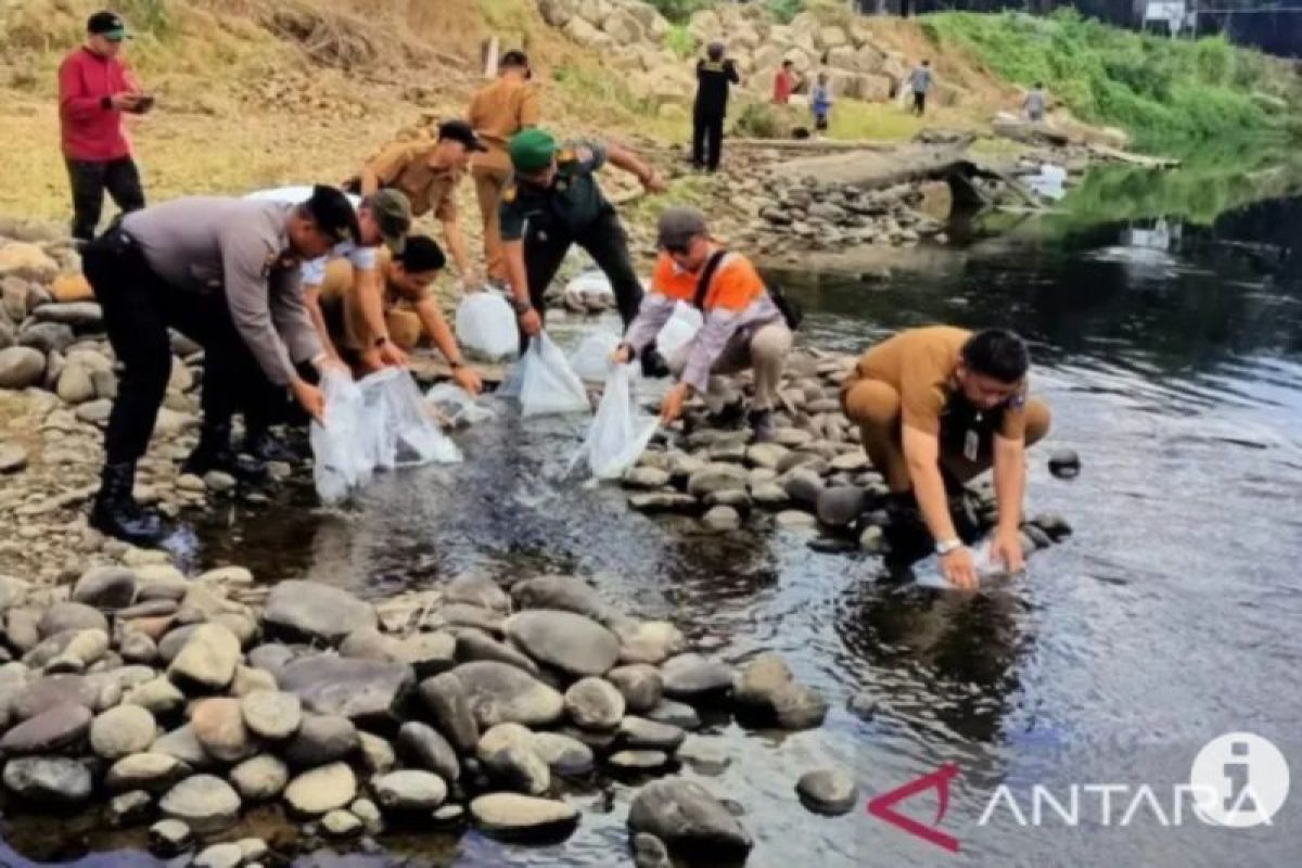PT AGM stocks 25 thousand freshwater fish seeds in Amandit River
