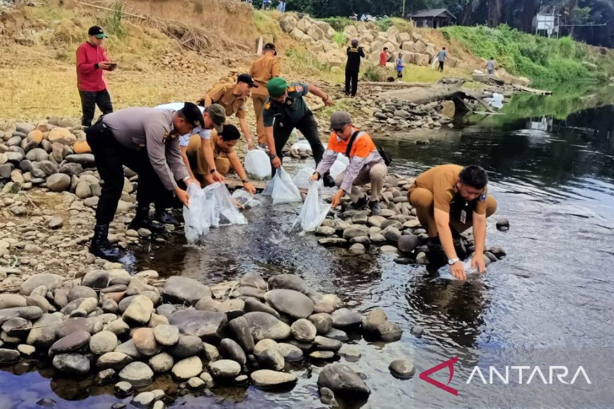 PT AGM dan KIN RI tebar 25 ribu bibit ikan air tawar di Sungai Amandit