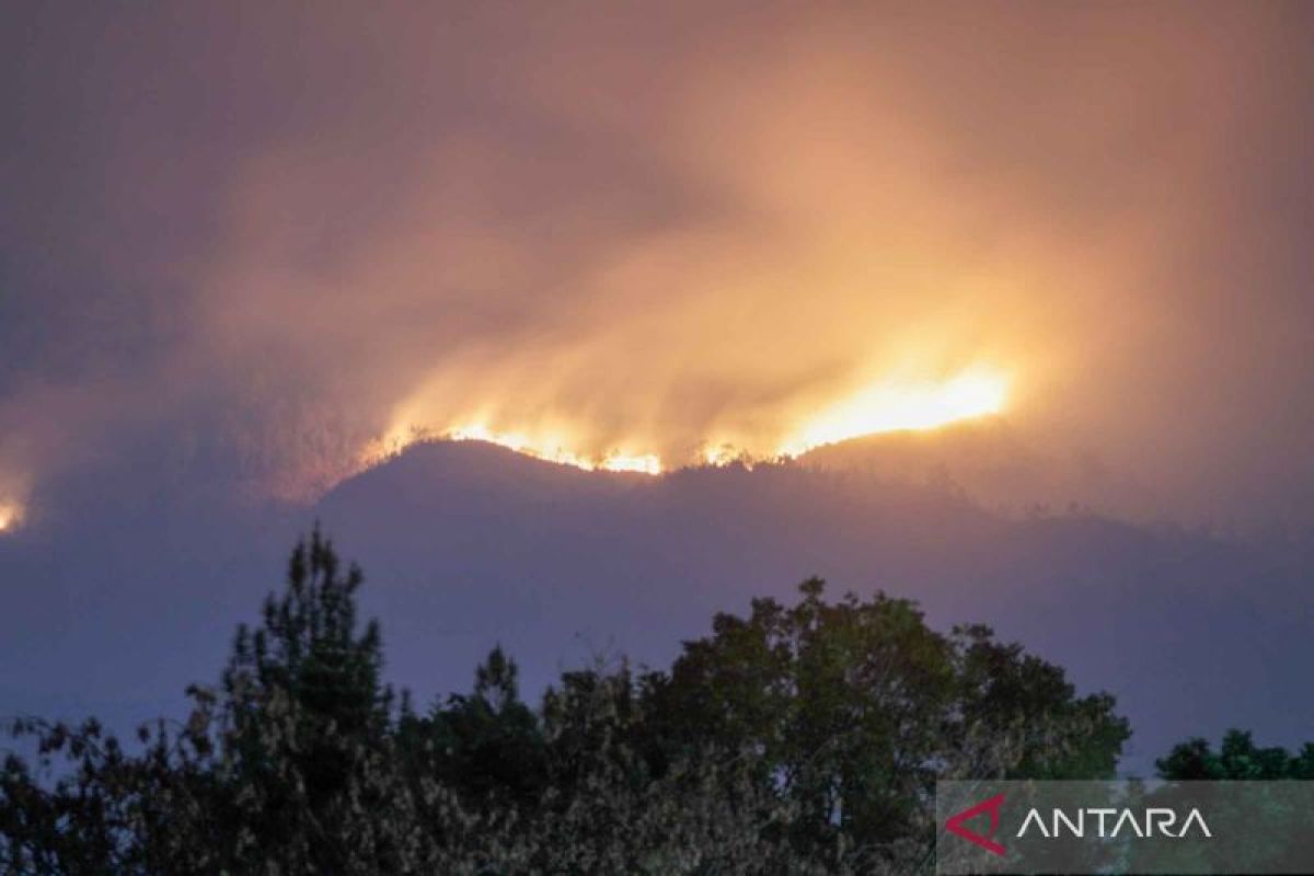 Perlu pembentukan Satgas pengendalian karhutla di Jawa