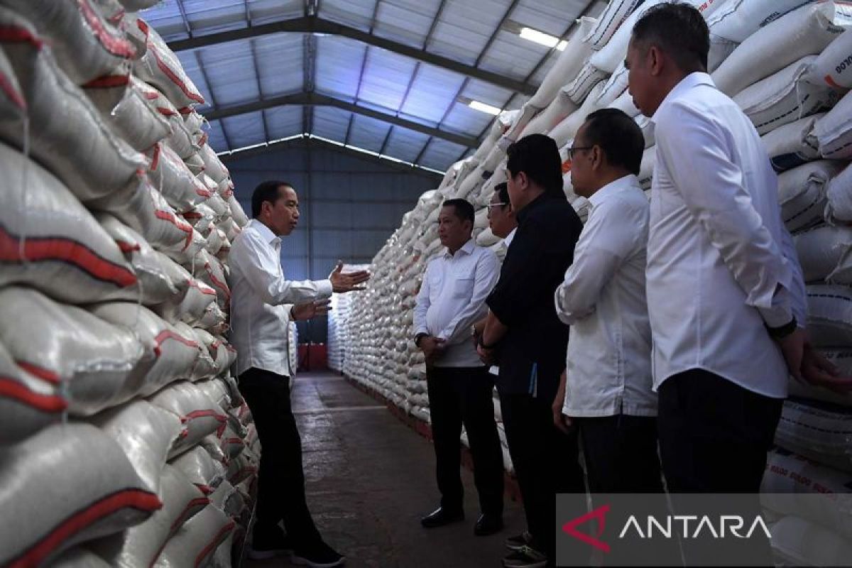 Pemerintah mitigasi turunnya produktivitas pangan karena El Nino