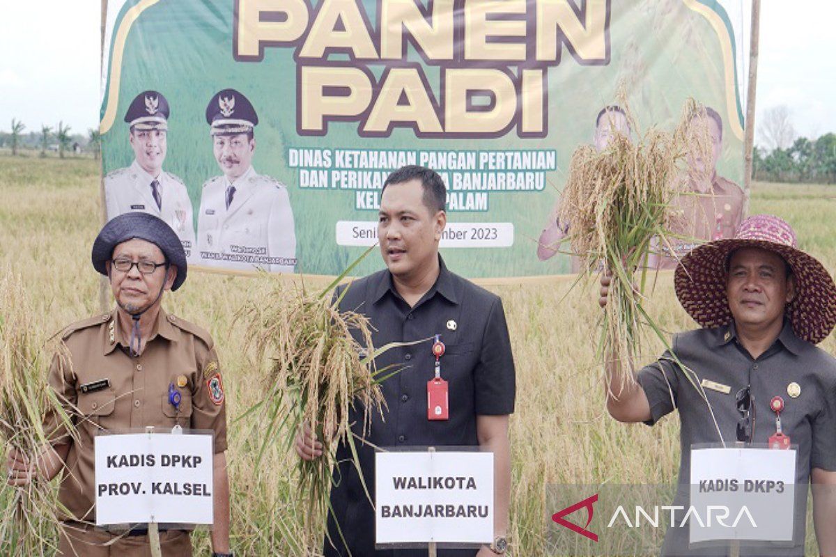 Wali Kota Banjarbaru dorong masyarakat penuhi kebutuhan pangan mandiri