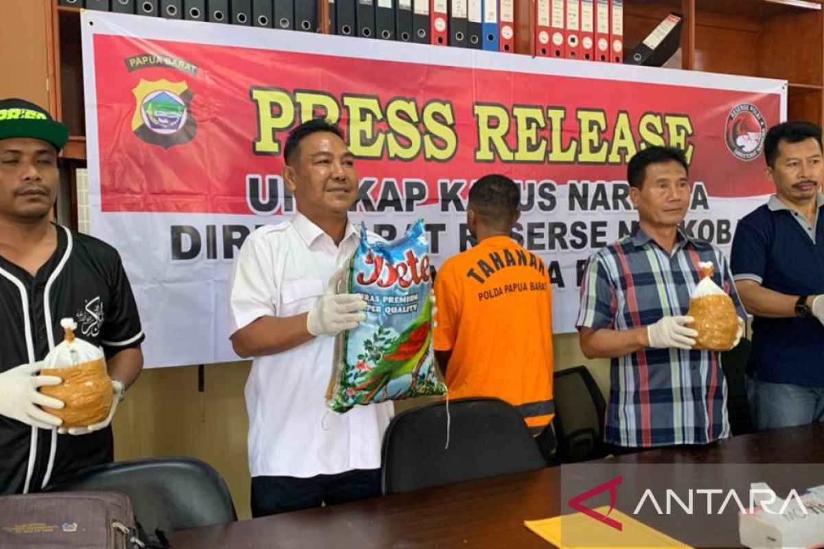 Polda tangkap pengedar ganja delapan kilogram di Manokwari