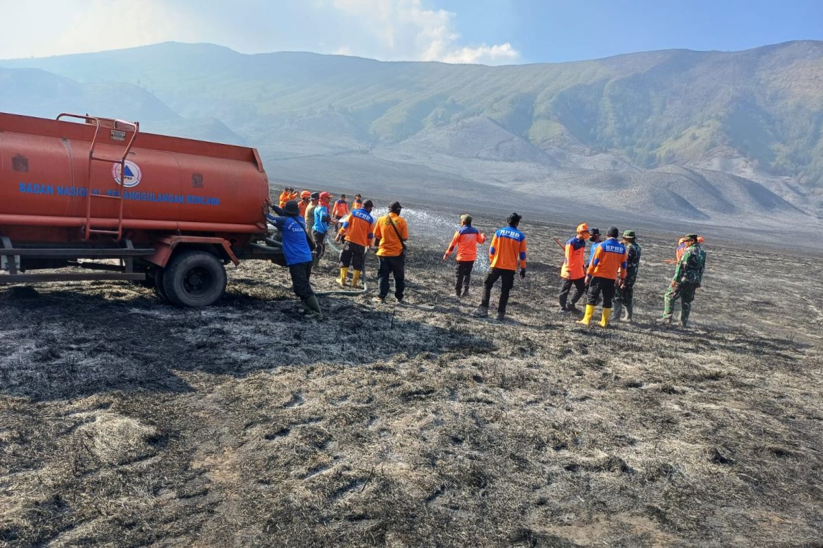 Joint officers extinguish land, forest fires at Mount Bromo: BPBD