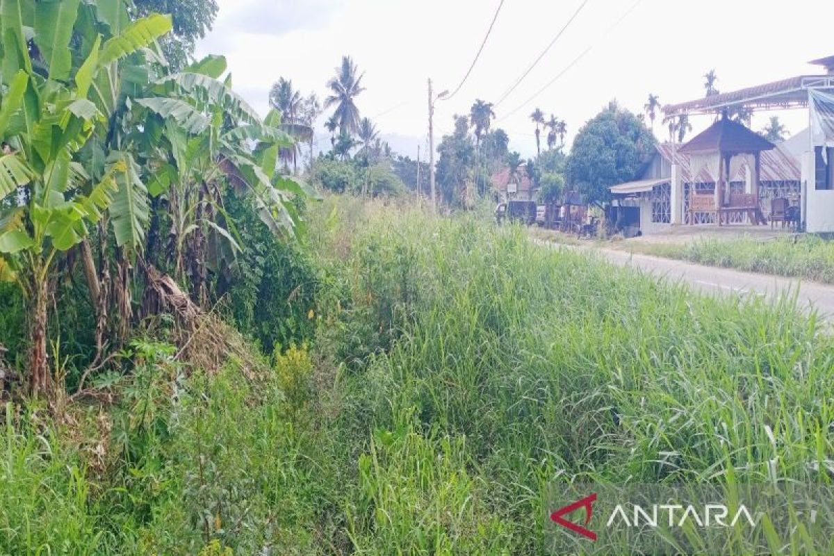 Petani di Madina mengeluh kekurangan air, PSDA diminta keruk saluran