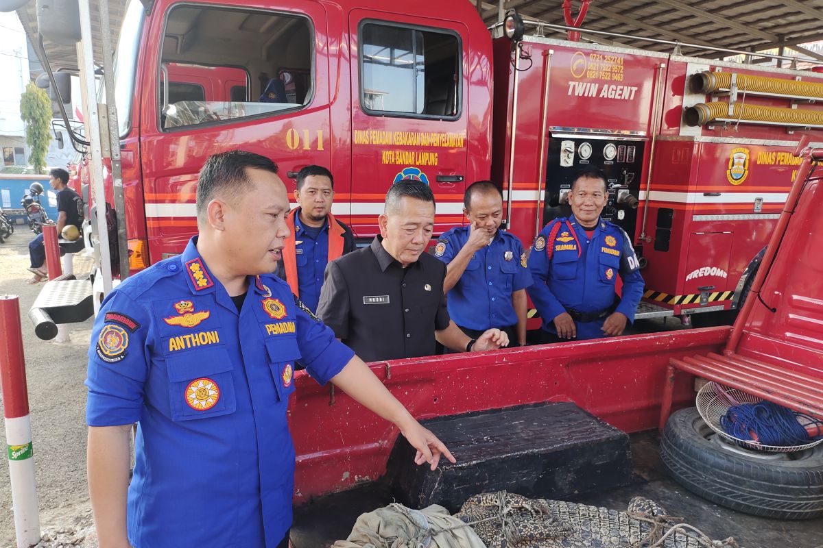 Petugas evakuasi buaya yang terjerat jala nelayan di Bandar Lampung