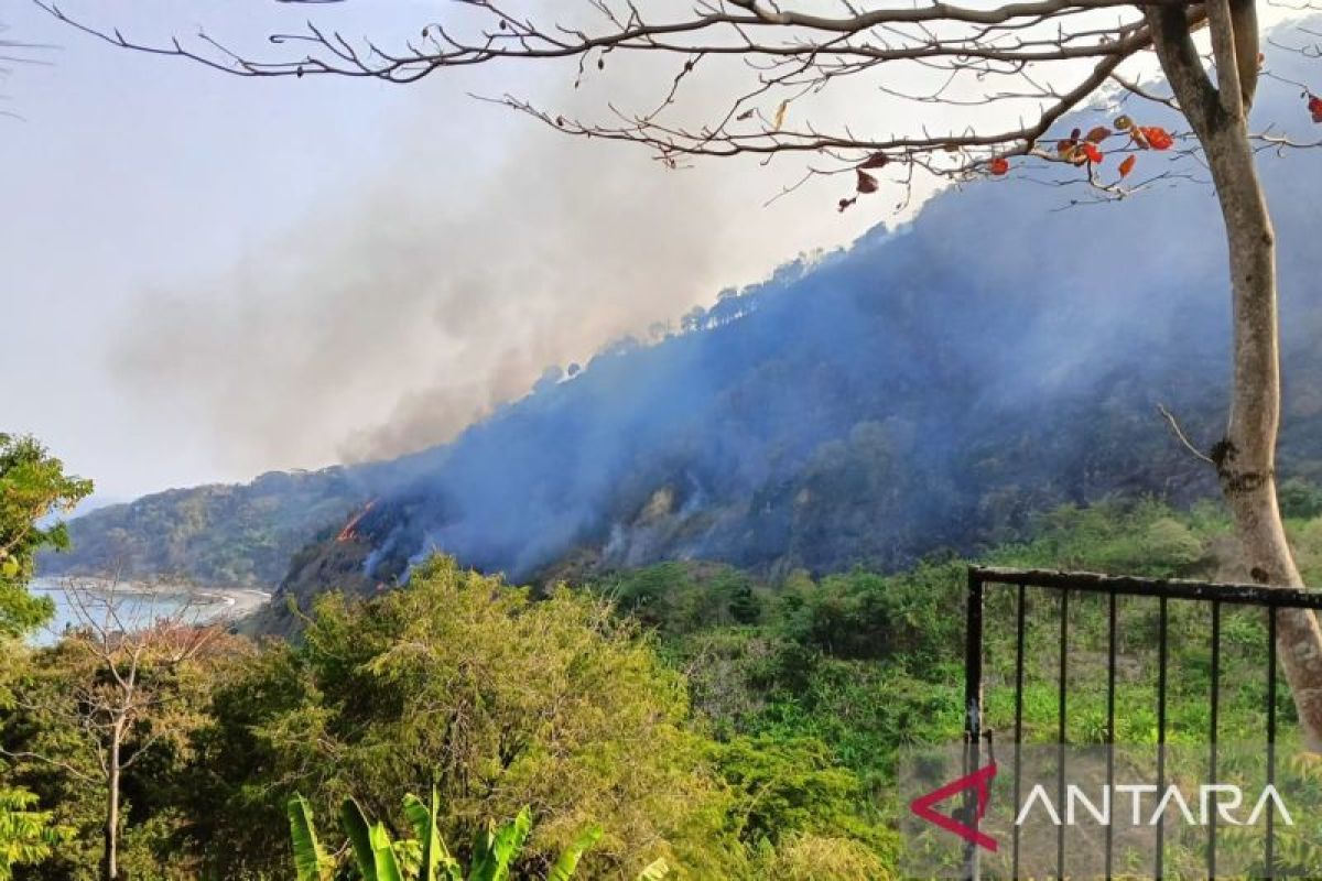 Petugas gabungan berupaya memadamkan kebakaran hutan di Puncak Habibie