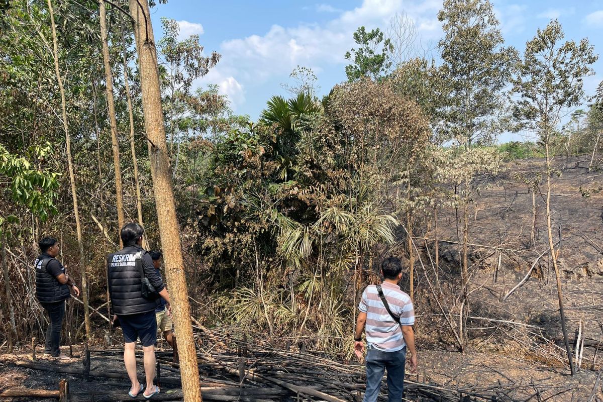 Polisi tangkap  pelaku pembakaran lahan di Sarolangun Jambi