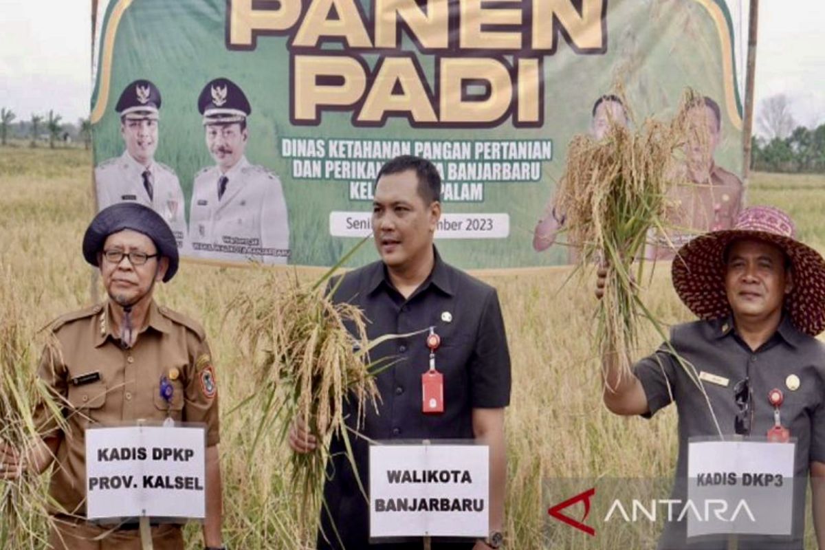 Banjarbaru minta warga penuhi pangan secara mandiri