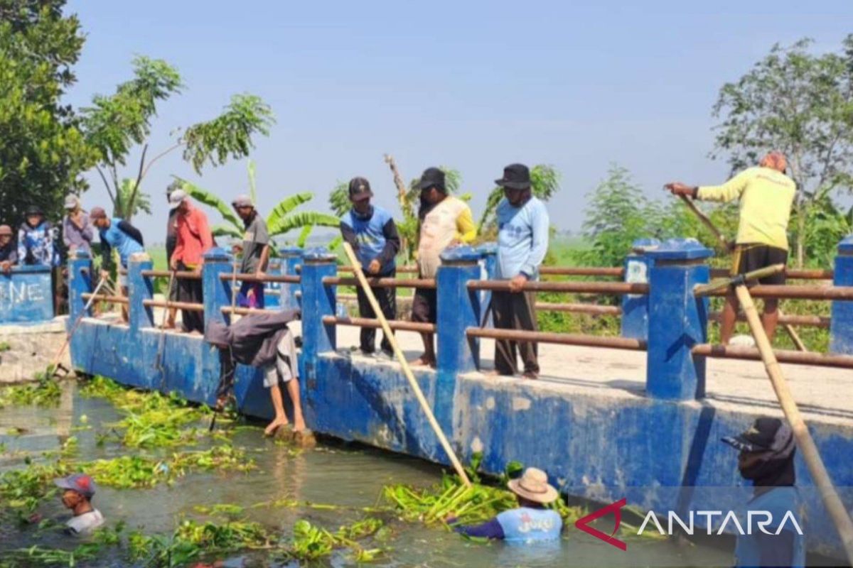 Petani-warga Pebayuran Bekasi gotong royong bersihkan saluran irigasi