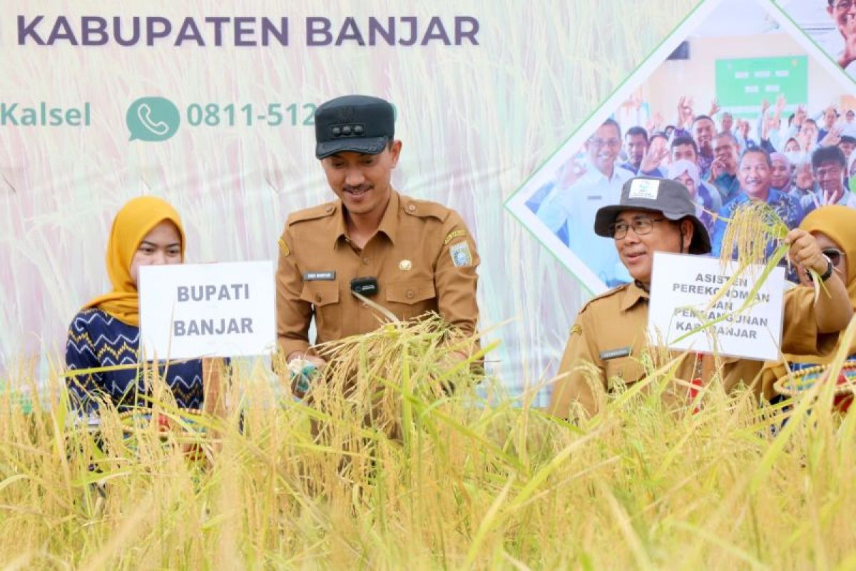 Bupati Banjar minta petani bercocok tanam sesuai cuaca dan iklim