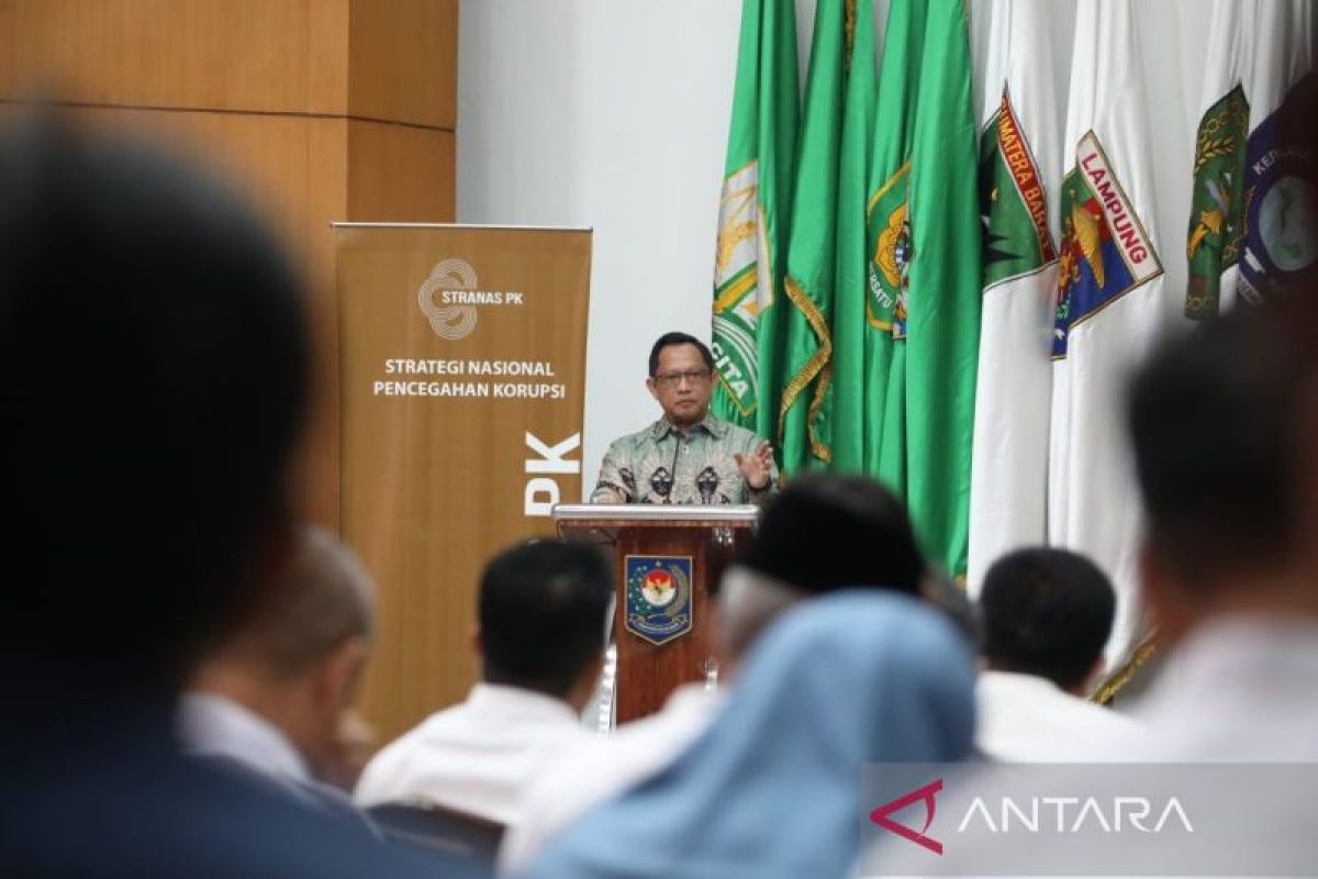 Mendagri: Kepala daerah cerdas mampu memperkuat APIP