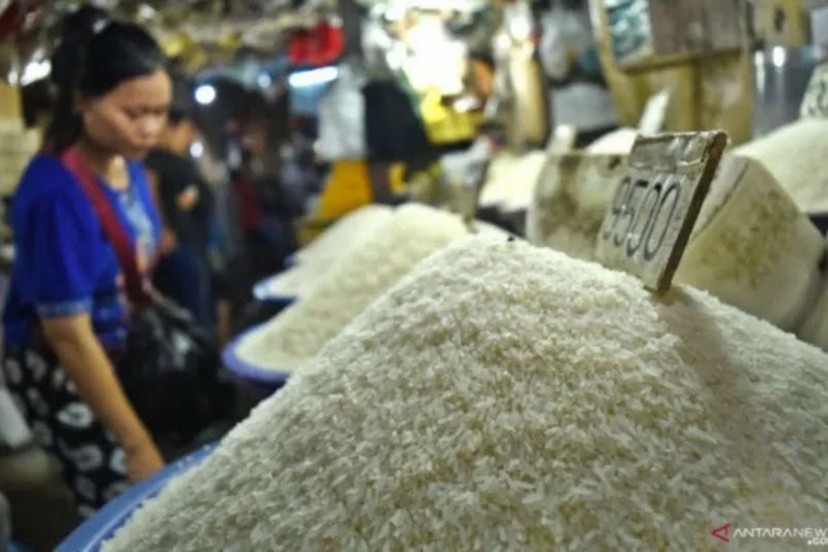 DIY memastikan cadangan beras aman meski harga di pasaran melonjak
