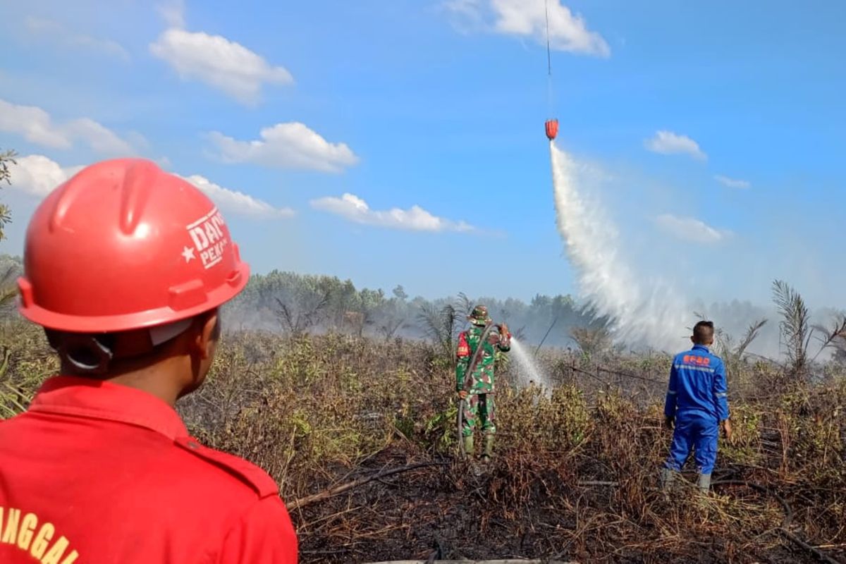 Helikopter "water bombing" padamkan api di Sumsel dan Jatim
