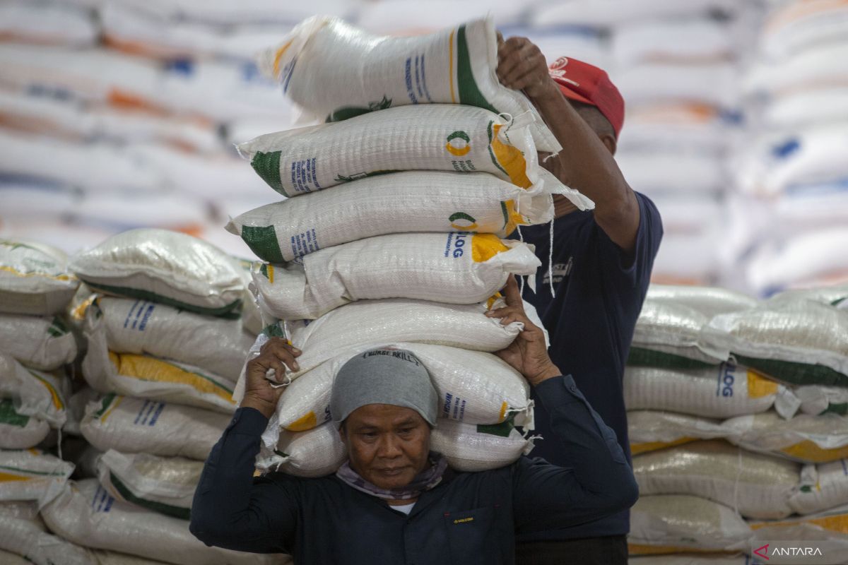 Bapanas secures 1.3 mln tons of rice for government reserve
