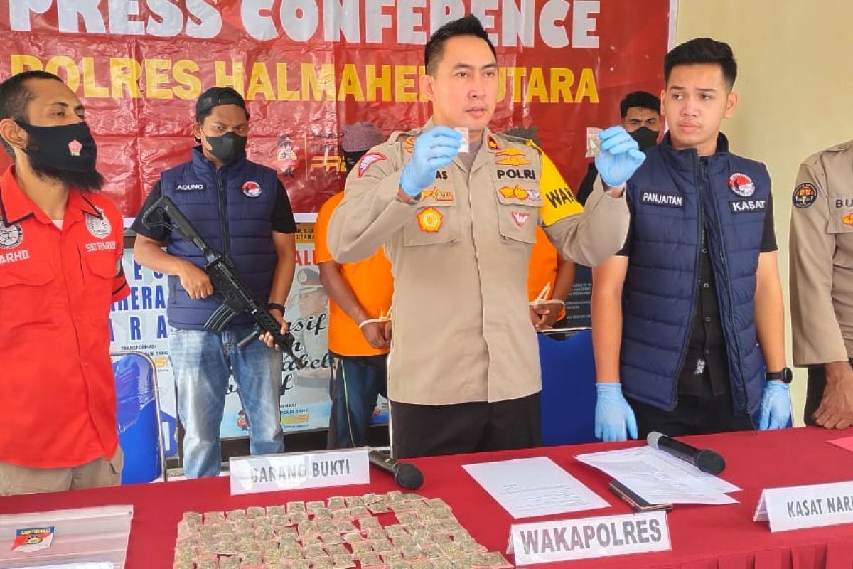 Polres Halut tangkap dua terduga pengedar narkotika