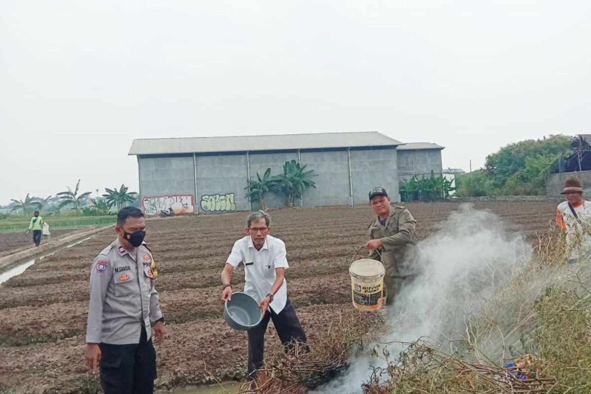 Bakar jerami di musim kemarau, petani di Tangerang dapat teguran
