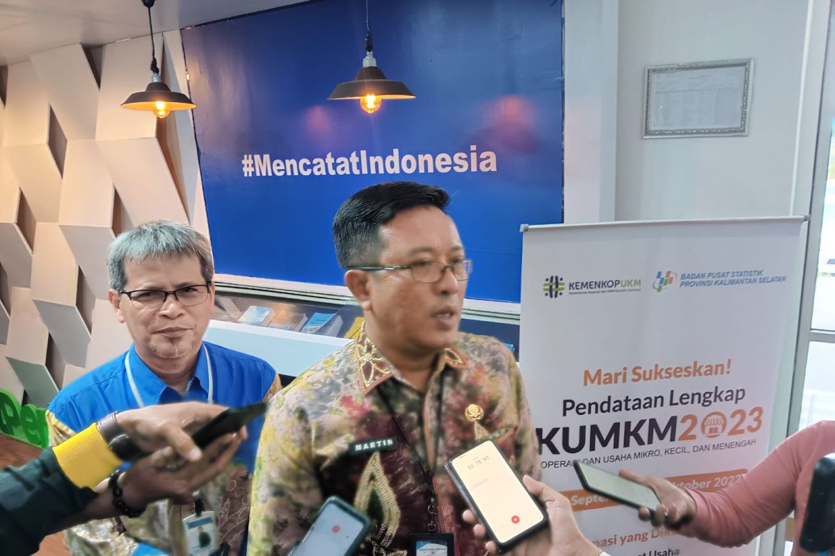 BPS Kalsel data seluruh koperasi dan UMKM