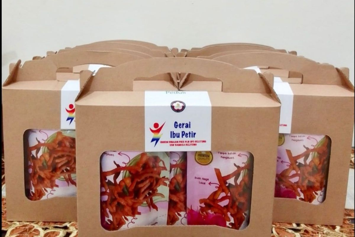 Sampaikan Keripik Stik Buah Naga ke Menteri PAREKRAF, PIKK PLN Siap Pasarkan Produk UMKM