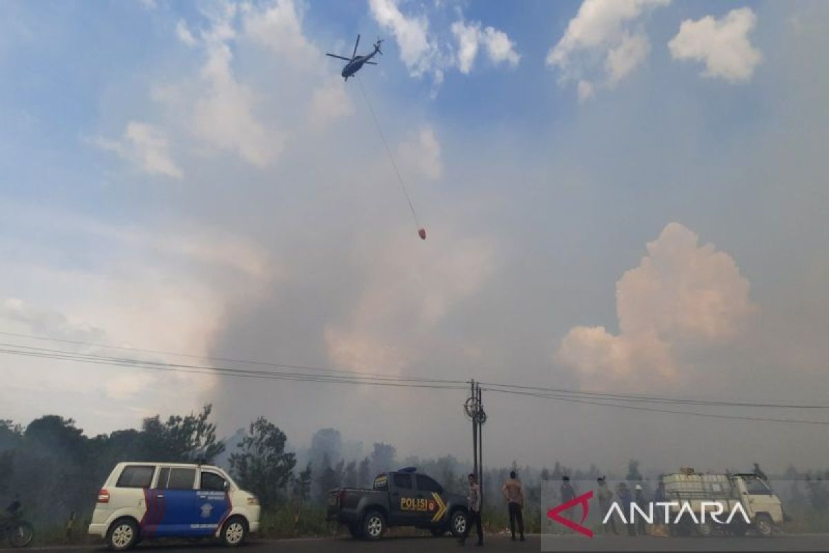 Petugas berjibaku padamkan karhutla dekatBandara Syamsudin Noor