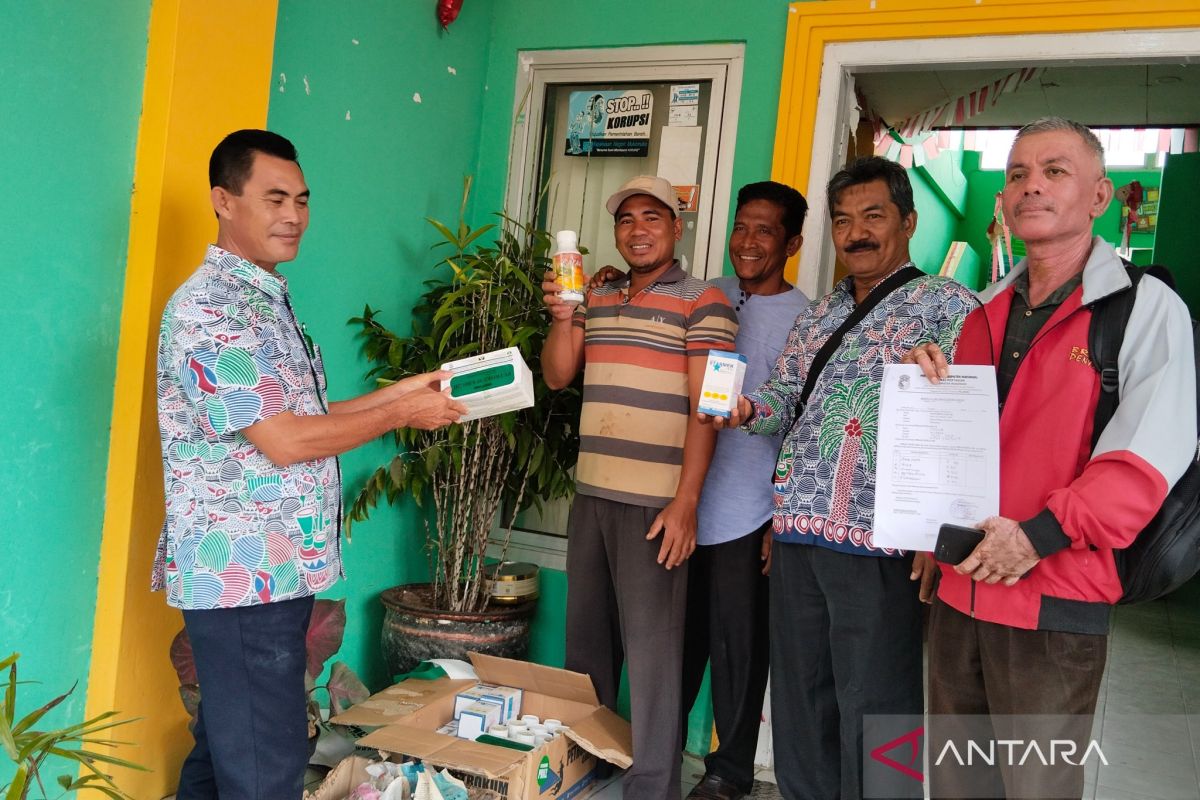 Distan Mukomuko bantu petani kendalikan hama perusak cabai