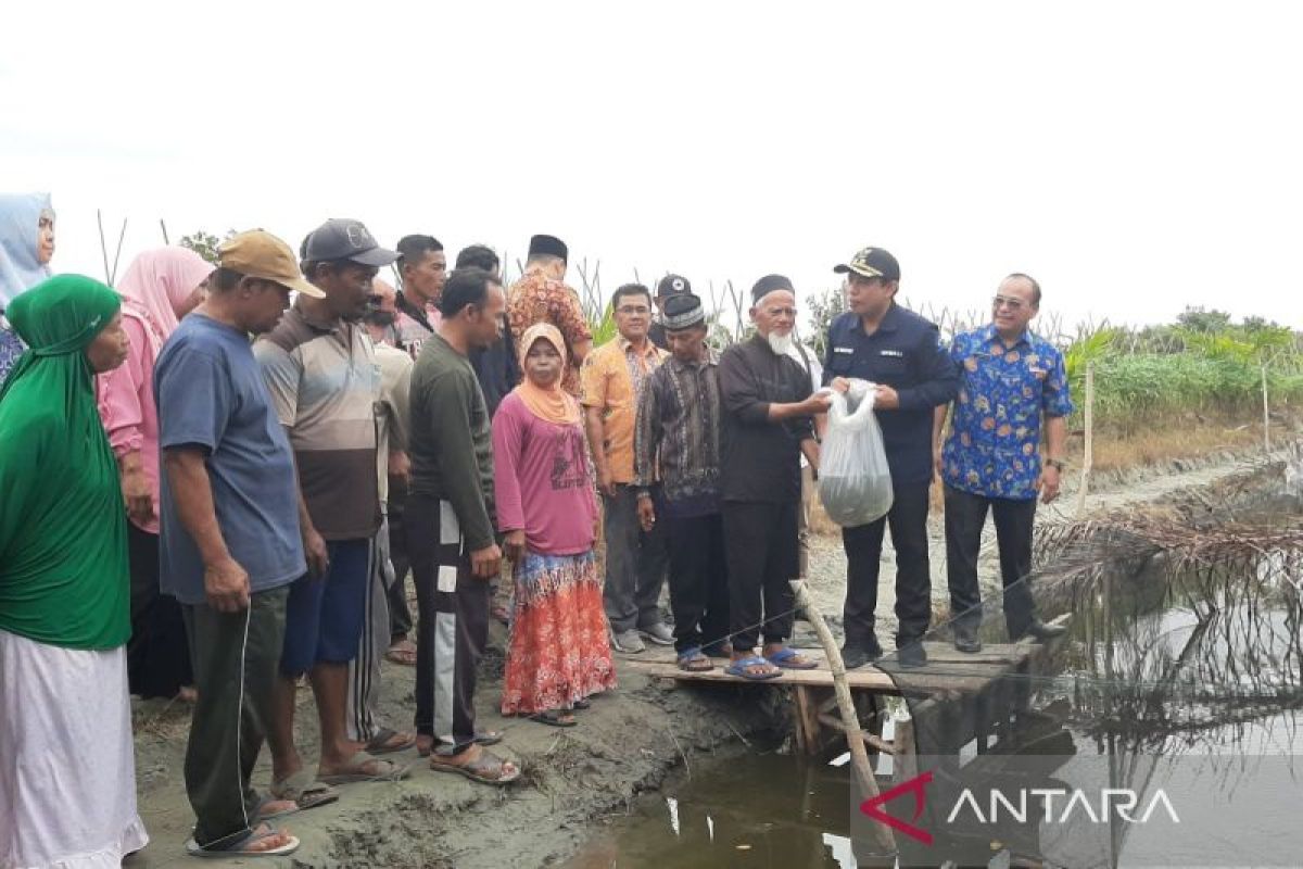 Pemkot Bengkulu serahkan 100 ribu bibit ikan untuk warga
