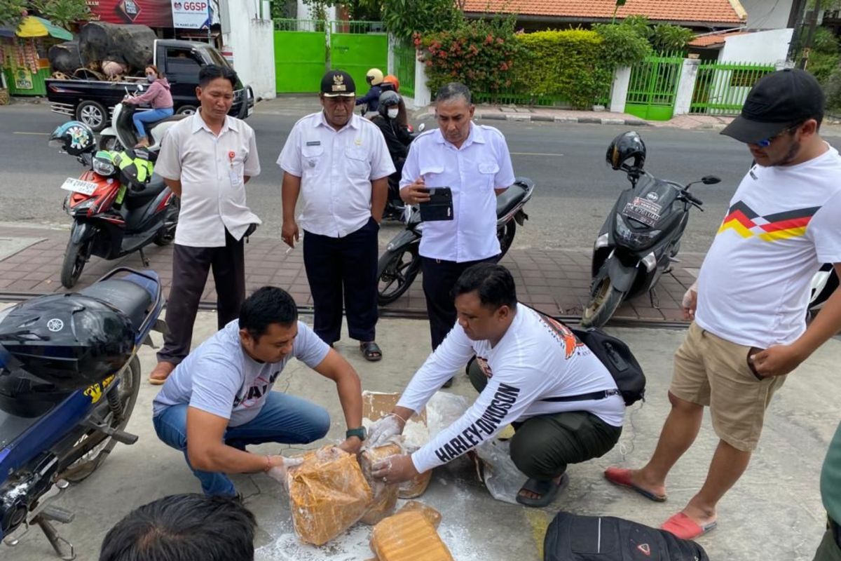 BNNP sita tujuh kardus kkkganja jaringan Medan-Bali seberat 7 kg