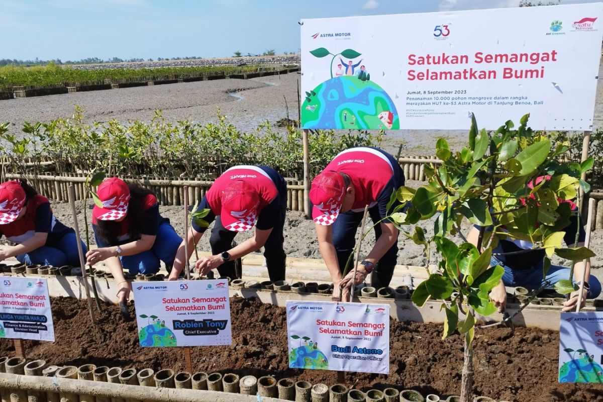 Semarak HUT ke-53 Tahun Astra Motor tanam 10.000 mangrove