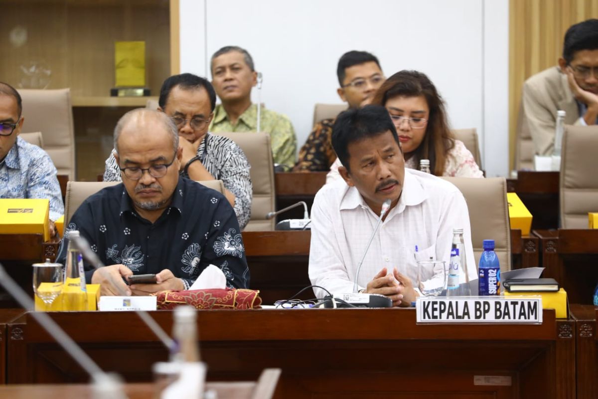 BP Batam hadiri rapat di Senayan, begini penjelasan Rudi soal Rempang kepada anggota DPR