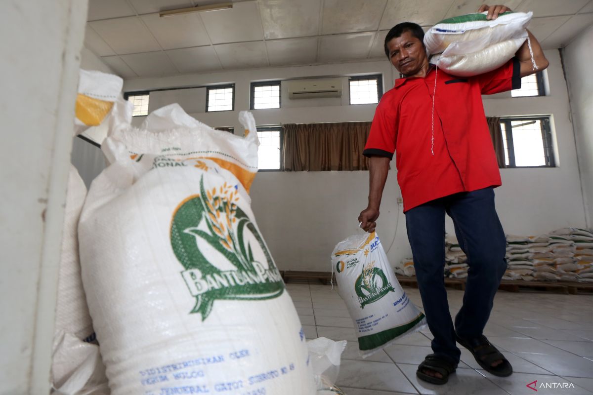 Rice stocks to meet local demand until year-end: Aceh Bulog