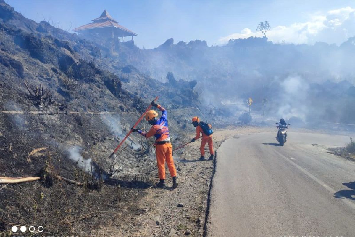 Kebakaran hutan di lereng Gunung Ijen capai 20 hektare