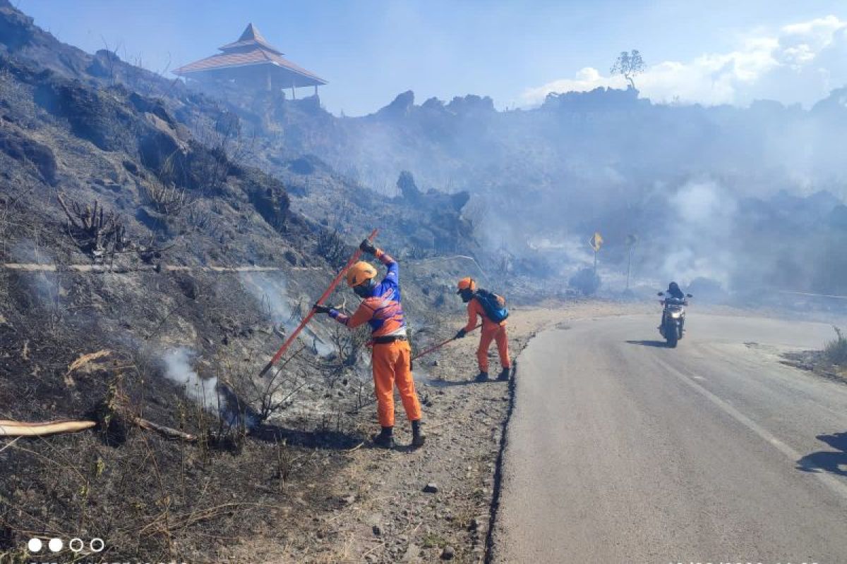 BPBD Bondowoso catat Karhutla capai 20 hektare di lereng Gunung Ijen