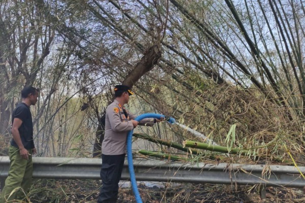 Kebakaran hutan lindung Watu Kanggorok dapat dilokalisasi