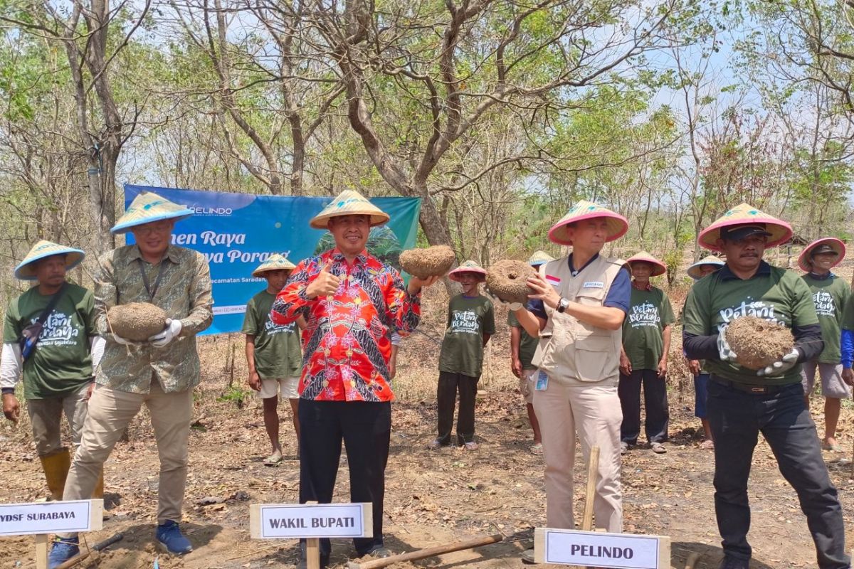 Wakil Bupati Madiun panen raya tanaman porang di Desa Sumberbendo