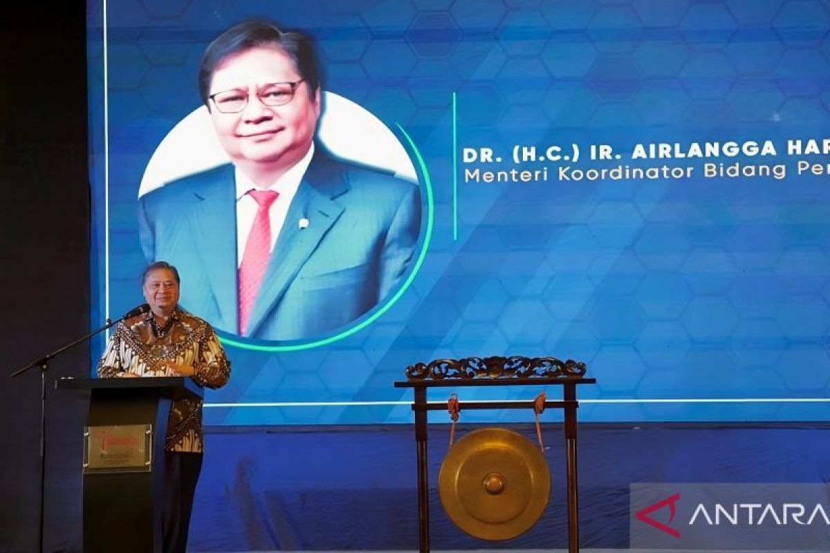 Airlangga nilai mineral kritis jadikan RI lebih unggul