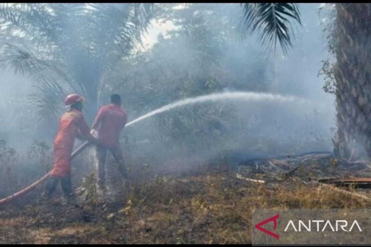 15 hektare hutan dan kebun warga di Bangka Selatan terbakar