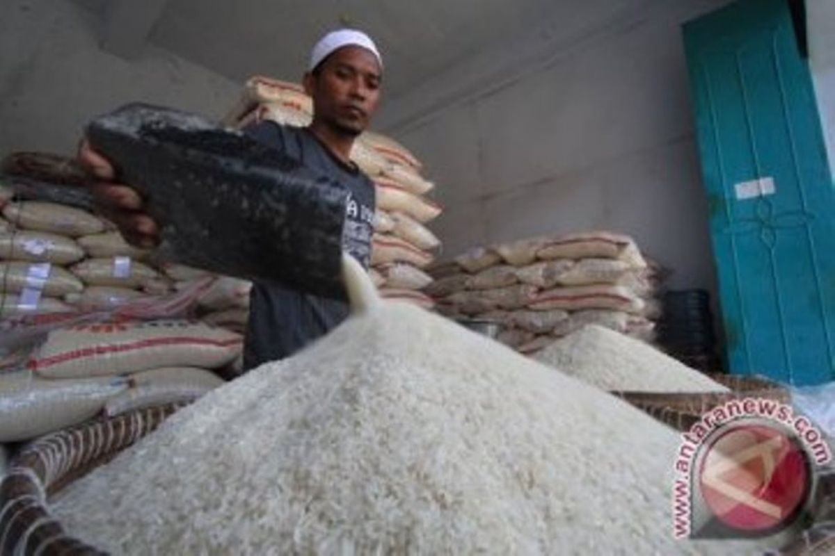 Riau jamin stok beras aman 10 bulan ke depan