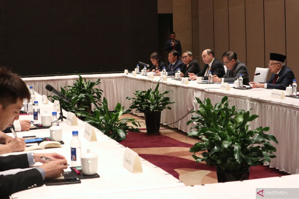 Wapres Ma'ruf Amin tegaskan komitmen Indonesia fasilitasi investasi China