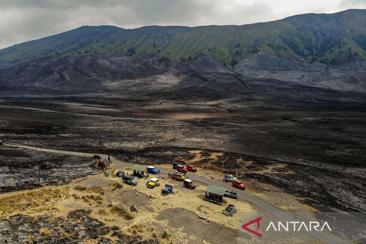 Kebakaran Hutan Dan Lahan Seluas 500 Hektare Di Gunung Bromo Akhirnya ...