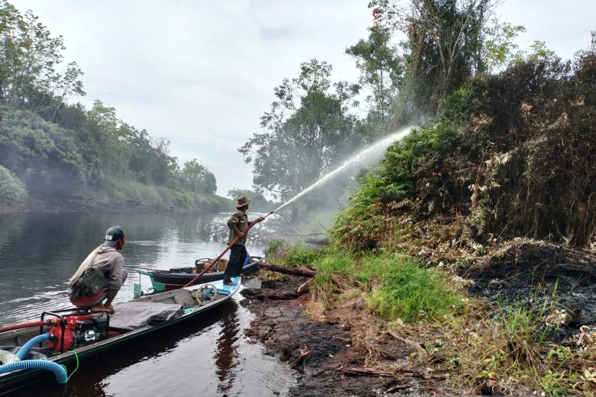 Yayasan Orangutan basahi lahan guna cegah kebakaran