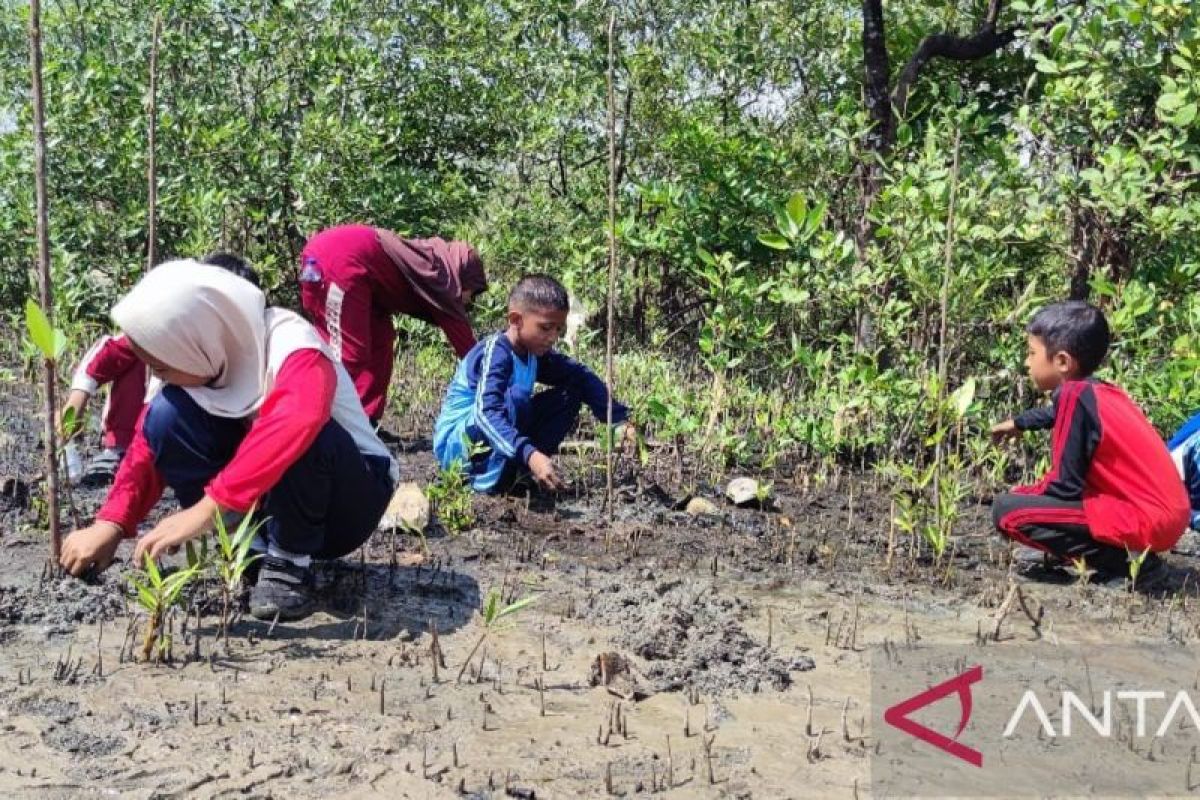 PT Timah Tbk tanam 1.000 mangrove di Pantai Batu Tuan