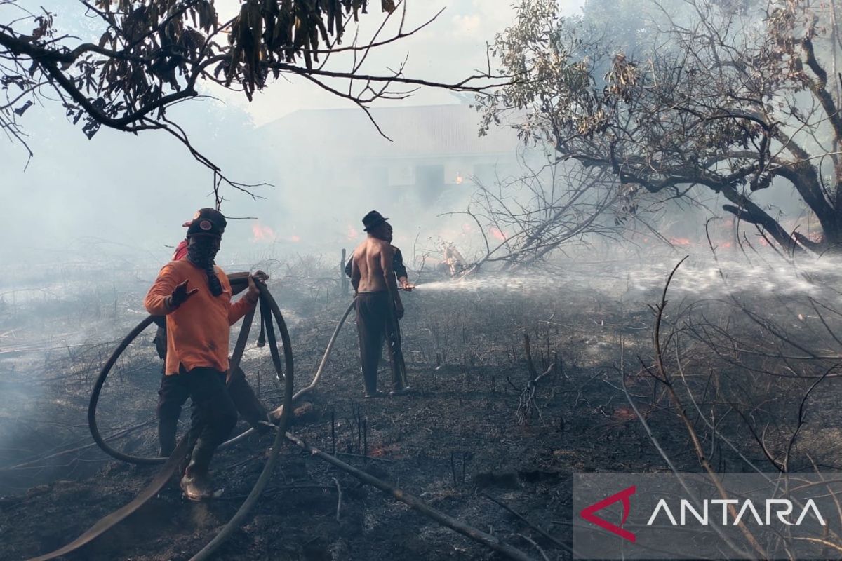BPBD tangani 202,23 hektare lahan gambut terbakar di Palangka Raya