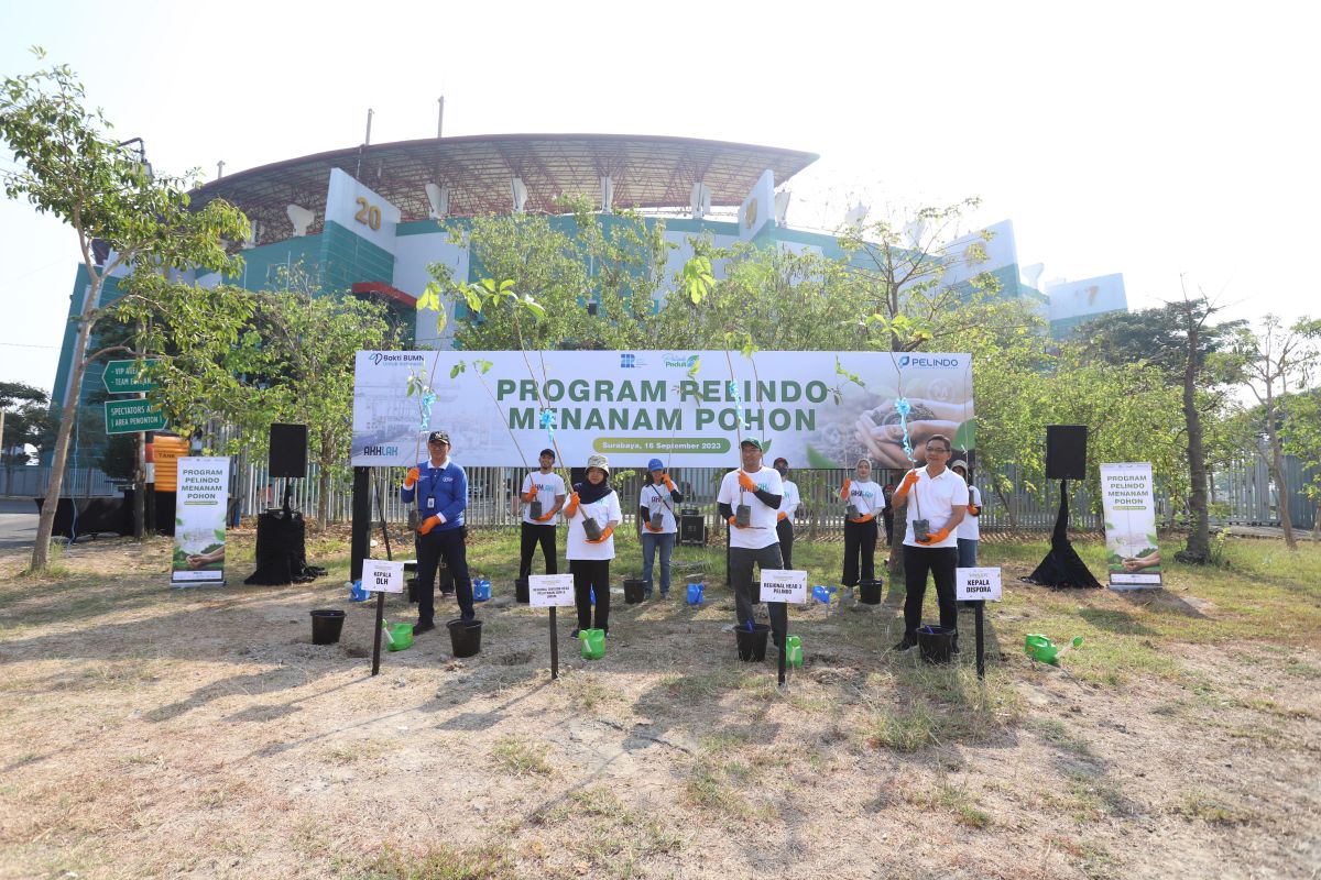 Jaga lingkungan, Pelindo tanam 2500 bibit pohon di empat kota