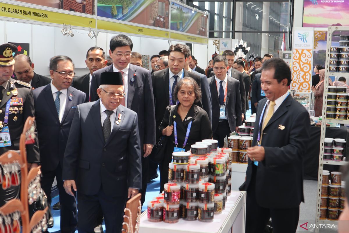CAEXPO proofs closeness between Chinese, ASEAN businesses: VP Amin