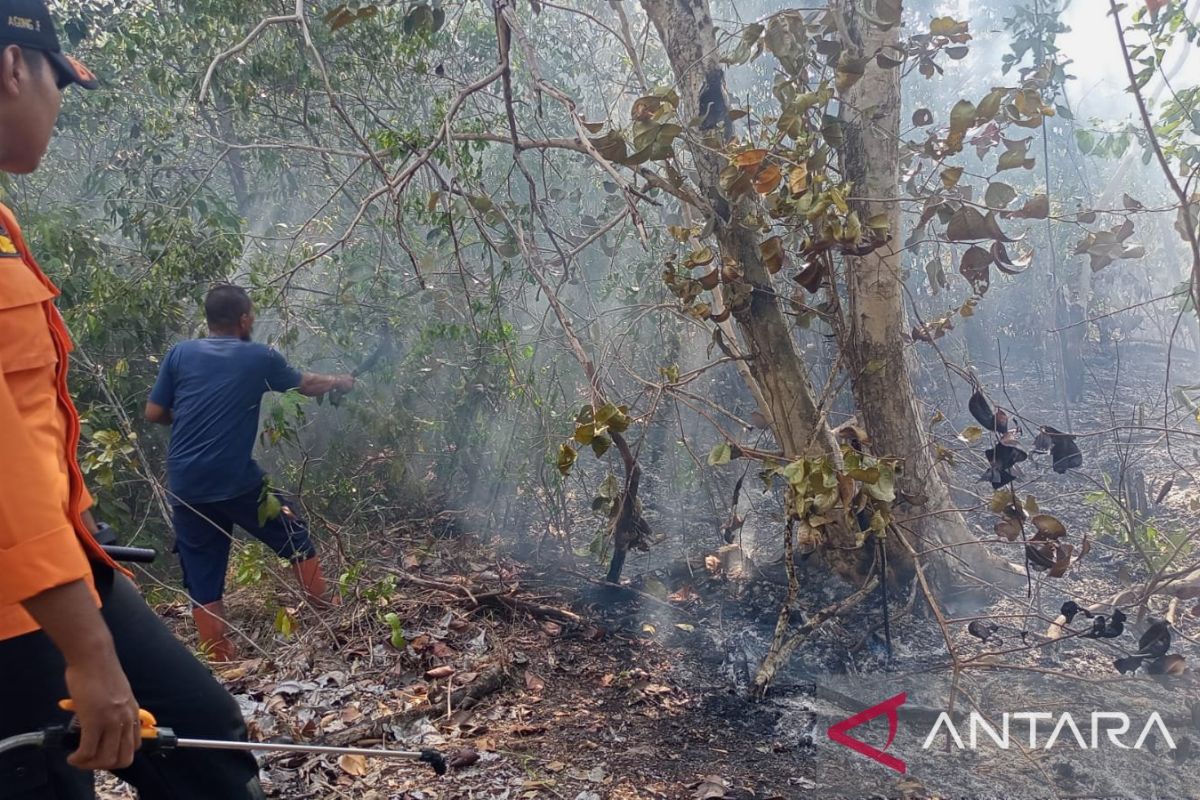 Tim gabungan berhasil padamkan api di kawasan hutan Sakbuk