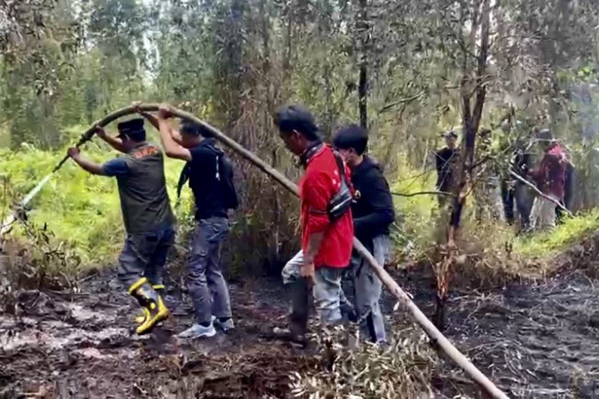 BPBD Kalsel libatkan mahasiswa dalam penanggulangan karhutla