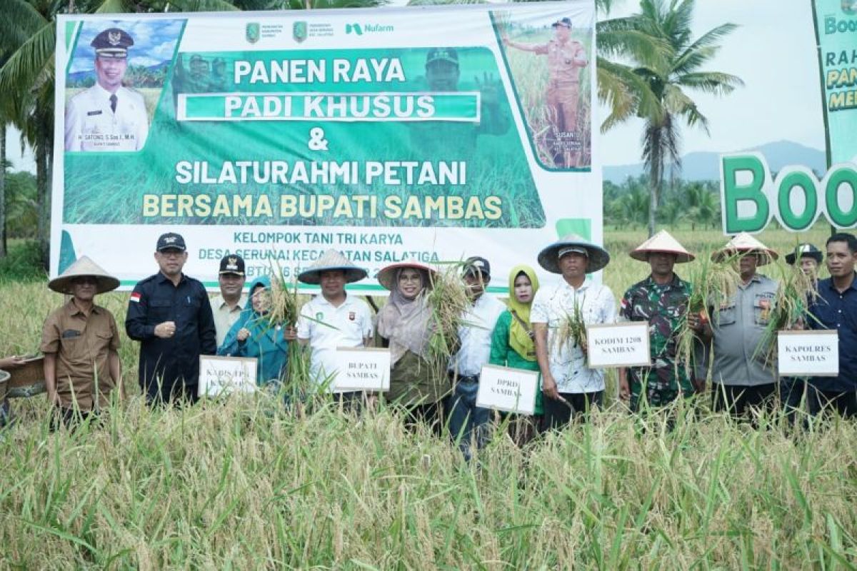 Kabupaten Sambas berkomitmen bertahan sebagai sentra padi di Kalbar